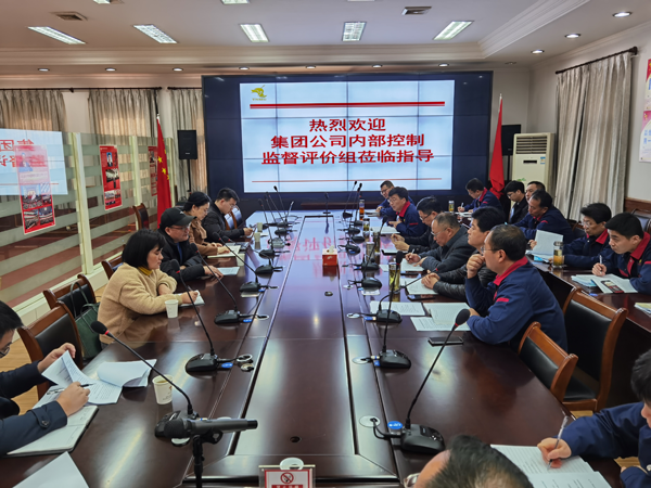 集团公司到公司开展内控自评检查工作