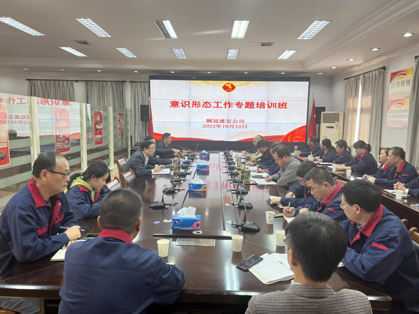 公司召开意识形态工作专题会