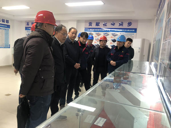 中国建材研究总院到建材公司调研