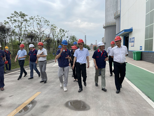 省生态环境厅副厅长到建材公司调研