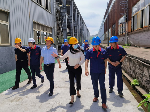 省国资委到公司督导环保整改工作 省国资委到公司督导环保整改工作