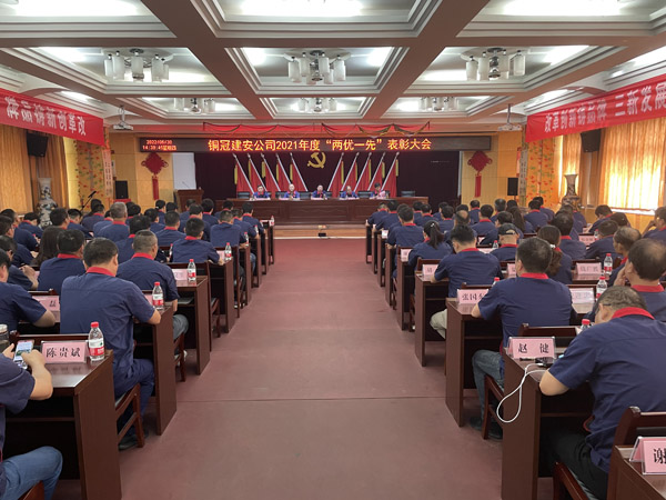 公司召开“两优一先”表彰大会 公司召开“两优一先”表彰大会