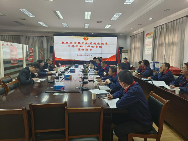 集团公司到公司检查“国企改革三年行动” 集团公司到公司检查“国企改革三年行动”