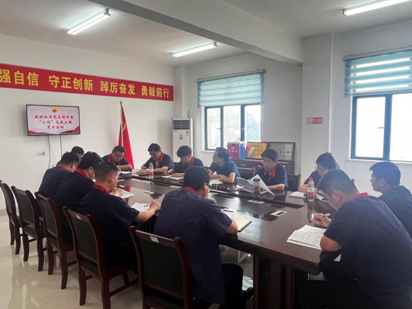 王伍升参加建材公司党支部主题党日活动 王伍升参加建材公司党支部主题党日活动